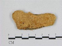 登錄號:F0006480藏品圖，第1張