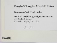 登錄號:F0006481藏品圖，第2張