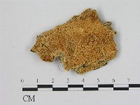 登錄號:F0006481藏品圖，第1張