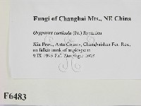 登錄號:F0006483藏品圖，第2張