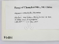 登錄號:F0006484藏品圖，第2張