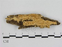 登錄號:F0006484藏品圖，第1張