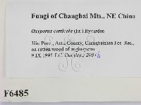 登錄號:F0006485藏品圖，第2張