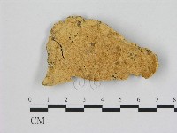 登錄號:F0006485藏品圖，第1張