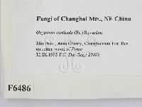 登錄號:F0006486藏品圖，第2張