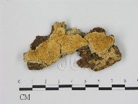 登錄號:F0006486藏品圖，第1張