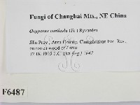 登錄號:F0006487藏品圖，第2張