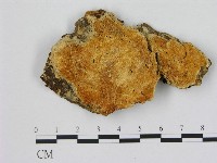 登錄號:F0006487藏品圖，第1張