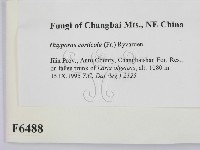 登錄號:F0006488藏品圖，第2張