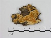 登錄號:F0006488藏品圖，第1張