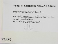 登錄號:F0006489藏品圖，第2張