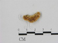 登錄號:F0006489藏品圖，第1張