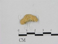 登錄號:F0006489藏品圖，第3張