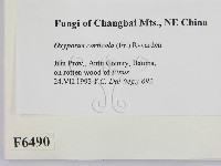 登錄號:F0006490藏品圖，第2張