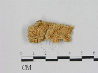 登錄號:F0006490藏品圖，第1張