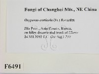 登錄號:F0006491藏品圖，第2張