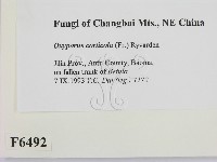 登錄號:F0006492藏品圖，第2張