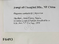 登錄號:F0006493藏品圖，第2張