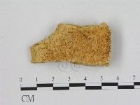 登錄號:F0006493藏品圖，第1張