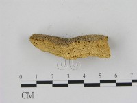 登錄號:F0006493藏品圖，第3張