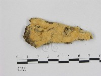 登錄號:F0006494藏品圖，第1張