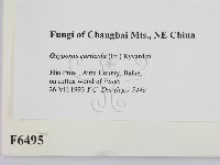 登錄號:F0006495藏品圖，第2張