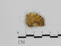 登錄號:F0006495藏品圖，第1張