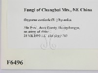 登錄號:F0006496藏品圖，第2張