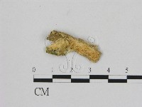 登錄號:F0006496藏品圖，第1張