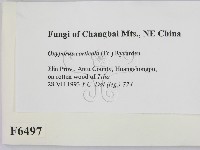 登錄號:F0006497藏品圖，第2張