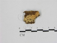 登錄號:F0006497藏品圖，第1張