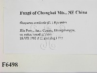 登錄號:F0006498藏品圖，第2張