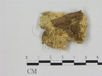 登錄號:F0006498藏品圖，第3張