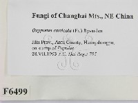 登錄號:F0006499藏品圖，第2張