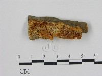 登錄號:F0006499藏品圖，第1張