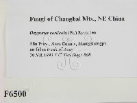 登錄號:F0006500藏品圖，第2張