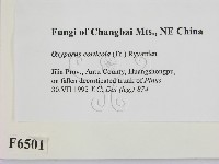 登錄號:F0006501藏品圖，第2張