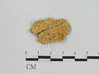 登錄號:F0006502藏品圖，第1張