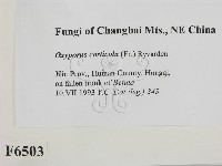 登錄號:F0006503藏品圖，第2張