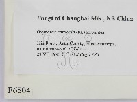 登錄號:F0006504藏品圖，第2張