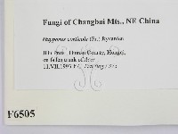 登錄號:F0006505藏品圖，第2張