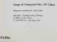 登錄號:F0006506藏品圖，第2張