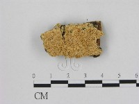 登錄號:F0006506藏品圖，第1張