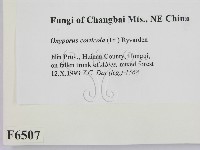 登錄號:F0006507藏品圖，第2張