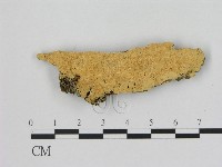 登錄號:F0006507藏品圖，第1張