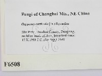 登錄號:F0006508藏品圖，第2張