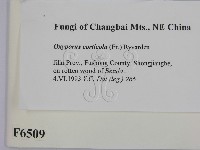 登錄號:F0006509藏品圖，第2張