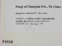 登錄號:F0006510藏品圖，第2張