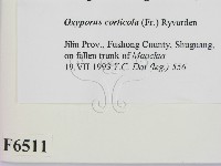 登錄號:F0006511藏品圖，第2張