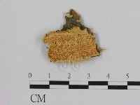 登錄號:F0006511藏品圖，第1張